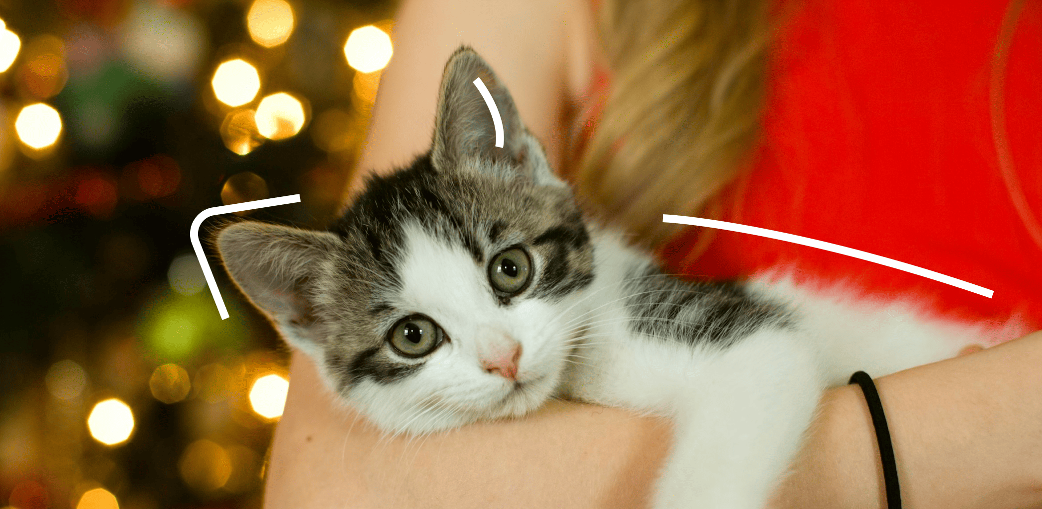 Как вернуться к привычному ритму жизни после праздников: советы и рекомендации